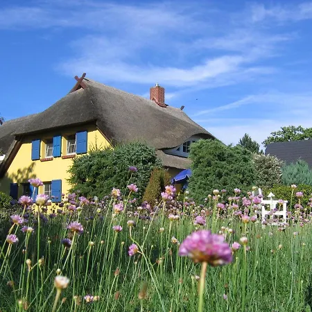 Ferienwohnungen Reetwinkel In Wieck Exterior photo