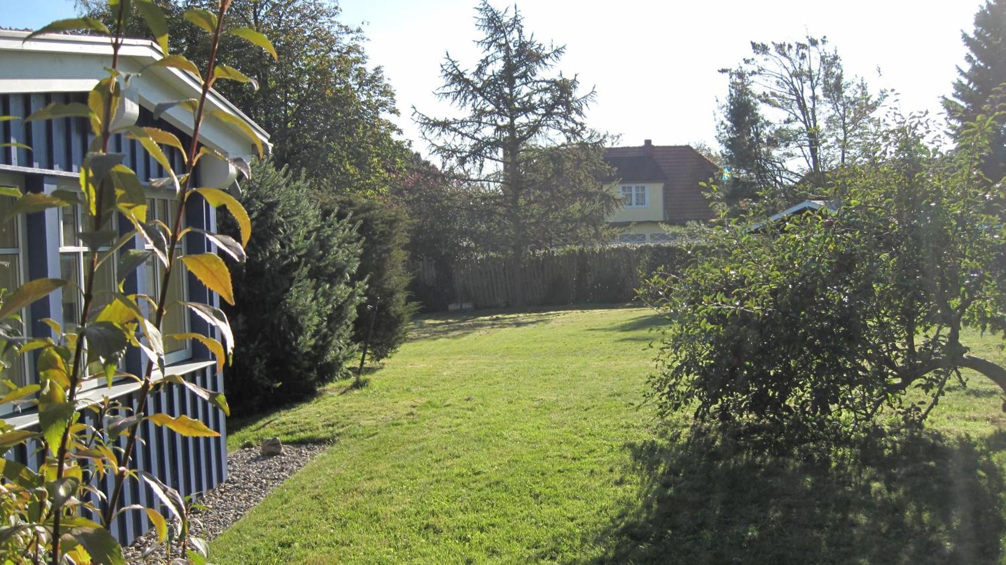 Reetwinkel In *
