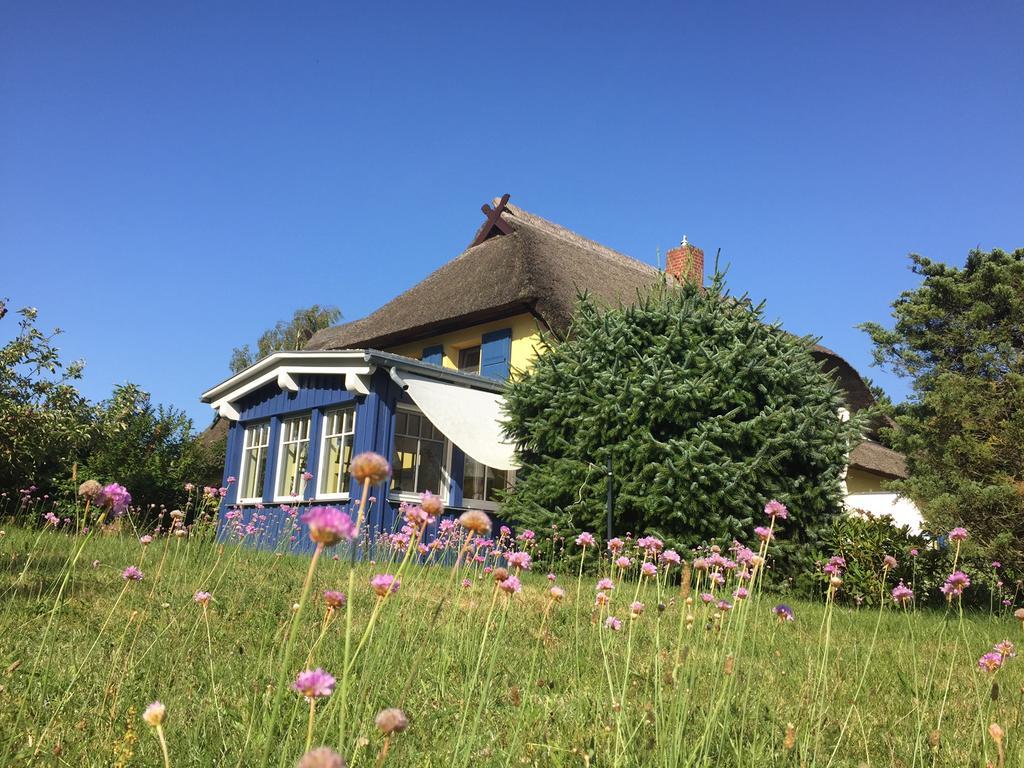 Reetwinkel In